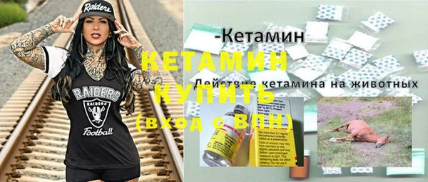 гидра Нестеровская
