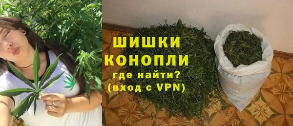 МДПВ Костерёво