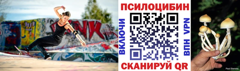 цены   Яблоновский  Псилоцибиновые грибы Psilocybe 